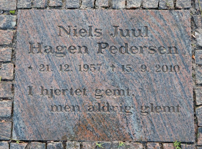 Niels Juul Hagen Pedersen.JPG